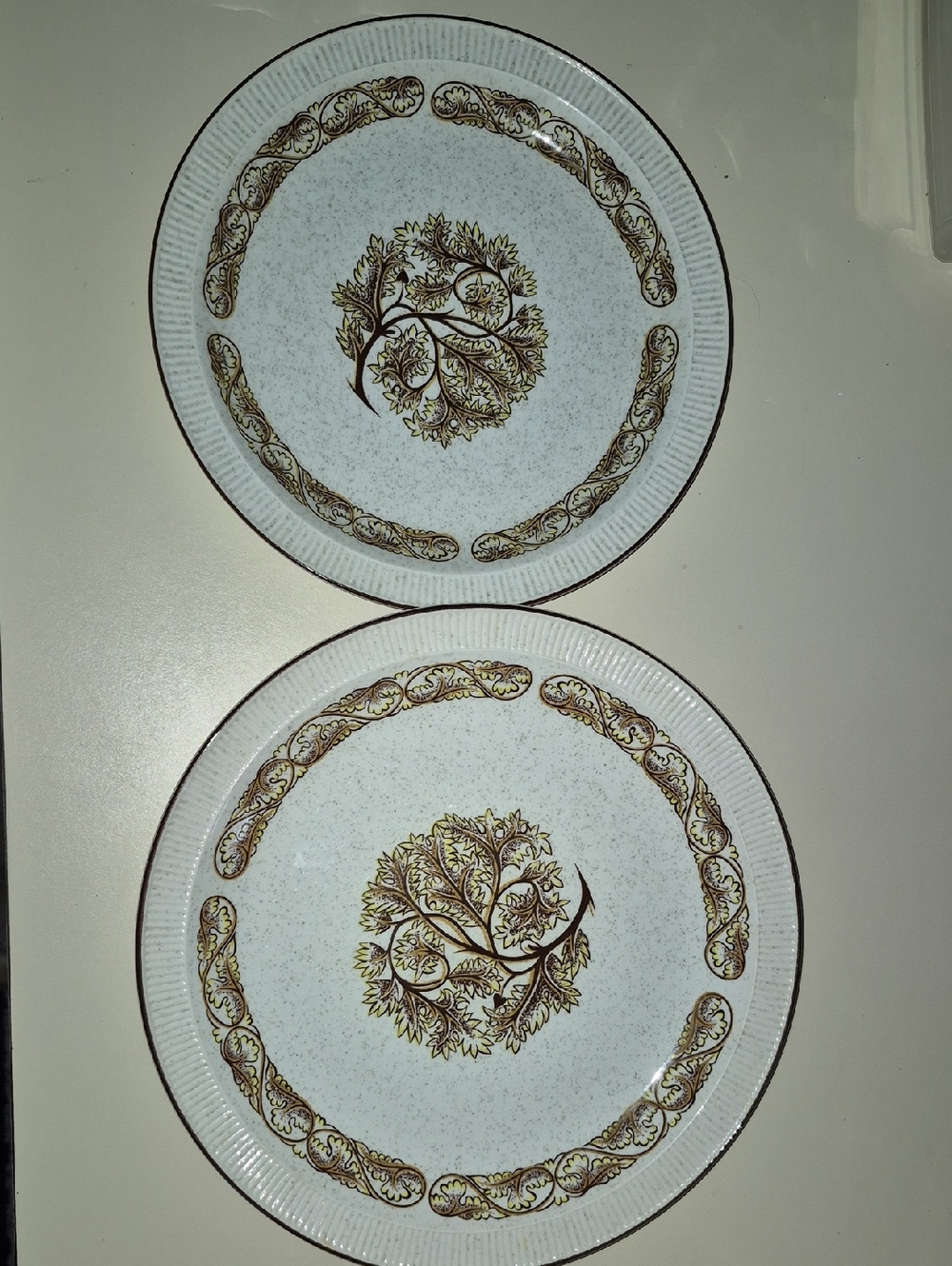Vintage POOLE Pottery Rimmed Plates(2) In The Arden Pattern 8.5" And 10"